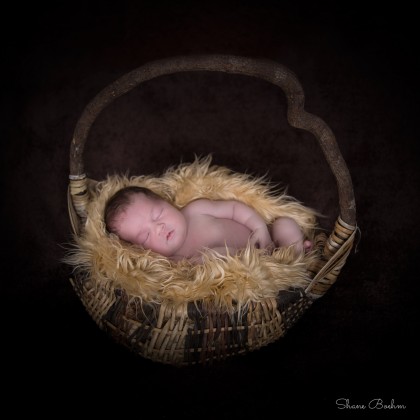 Newborn in Basket